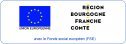 Fond Social Europen
